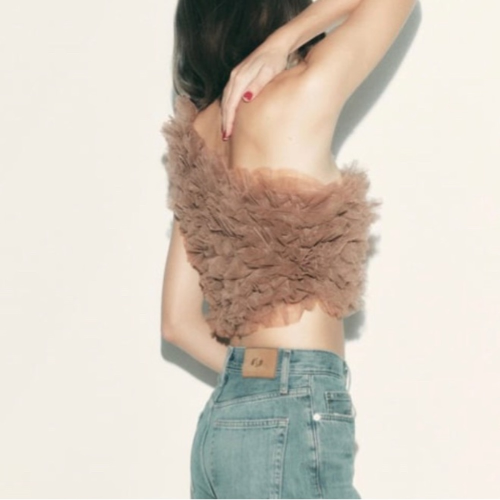 Zara Nude Tulle Crop Top